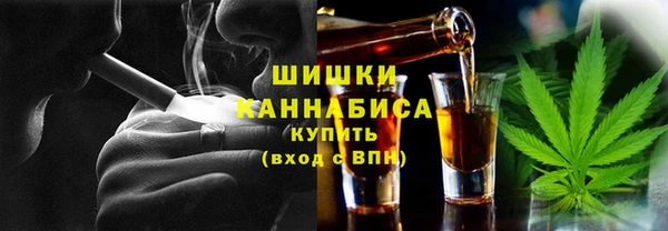 крисы Ельня