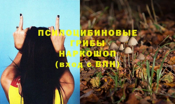 кокс Елизово