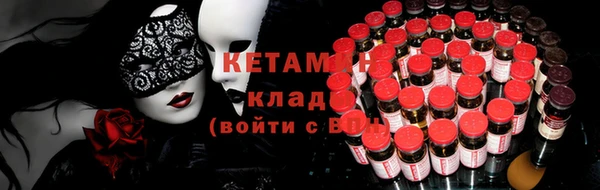 крисы Ельня