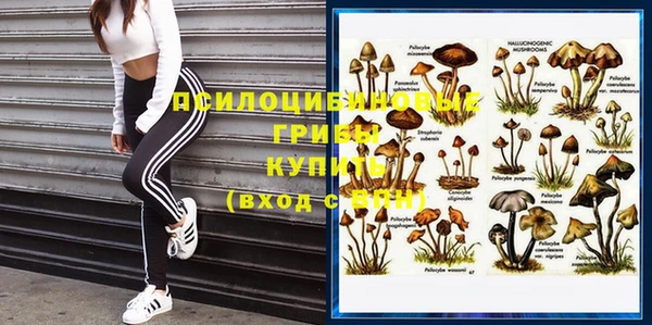 крисы Ельня