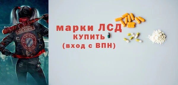 крисы Ельня