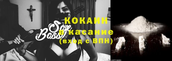крисы Ельня