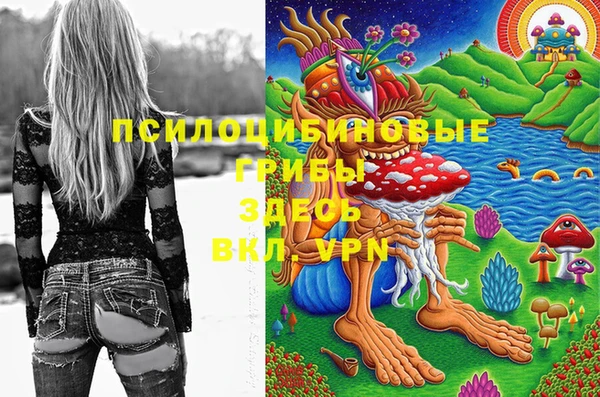 крисы Ельня