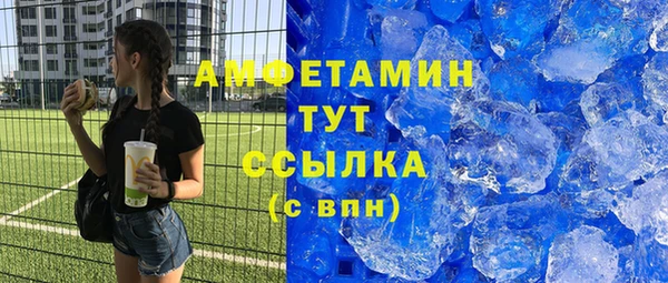 крисы Ельня