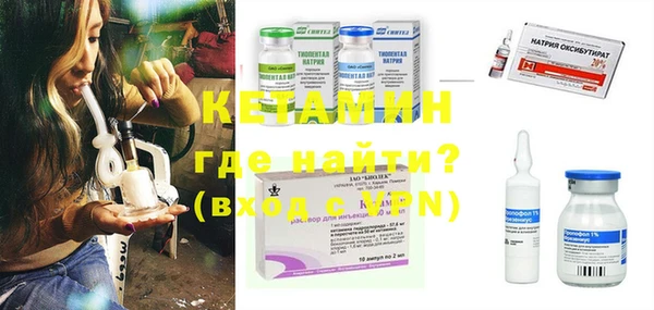 крисы Ельня