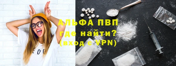 крисы Ельня