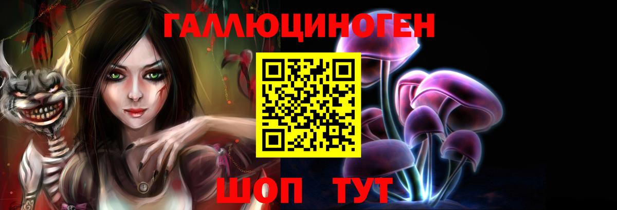 Псилоцибиновые грибы ЛСД  Вход с VPN  Новошахтинск 